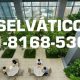 SELVATICO-Servicios-de-disenocreacion-y-mantenimiento-de-areas-verdes